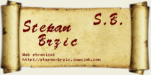 Stepan Brzić vizit kartica